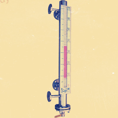 UDZ-3D插入型磁浮球液位計