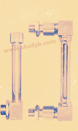 耐壓數(shù)顯小型管式液位計